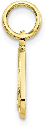 Miniatura 2 de Colgante de oro amarillo macizo de 10 quilates 0630in x 0433in