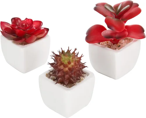 MyGift Surtido de plantas suculentas rojas artificiales, mini plantas falsas del desierto en macetas cuadradas blancas, juego de 3 Rojo (juego de 3)