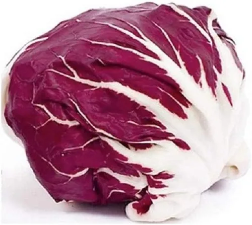 Palla Rosa Radicchio Seeds - Paquete de 100 semillas - Sin OMG - Un vegetal común utilizado ampliamente en toda Italia. Añade un toque de color