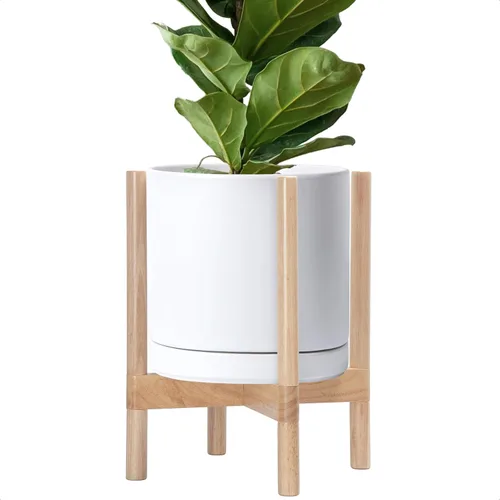 Miniatura 14 de D'vine Dev Maceta de cerámica con soporte de ébano – Maceta redonda moderna de 8 pulgadas con soporte para maceta de madera, color negro, 55-B-M-2