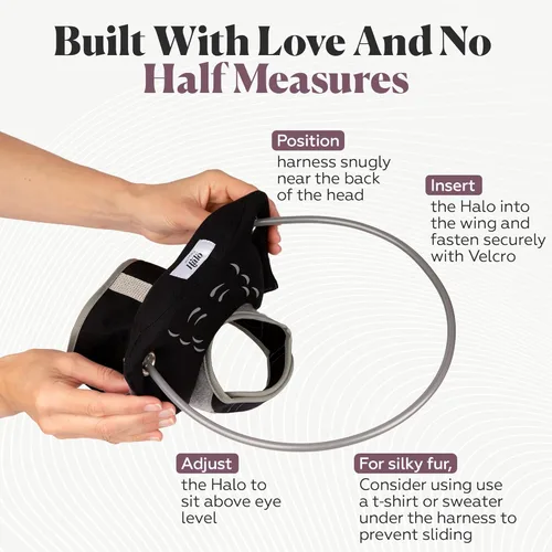 Miniatura 6 de Muffin's Halo® - El halo original para perro ciego Arnés y collar de parachoques accesorio para una navegación segura y confianza - Negro, talla 1