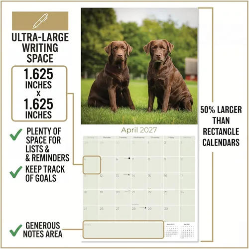 Miniatura 4 de Calendario de chocolate Labrador 2025 2026 – Calendario mensual de pared de raza de perro – 12 x 24 pulgadas abierto – Papel grueso sin sangrado