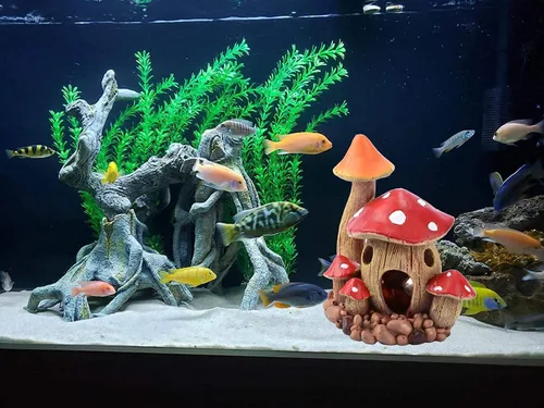 Miniatura 5 de Bonita decoración de casa de hongos para acuario, adorno de pecera, cuevas de Pleco para escondite de peces pequeños y decoraciones de jardín