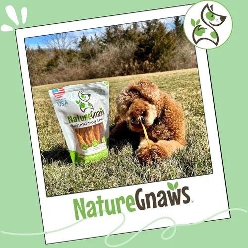 Miniatura 7 de Nature Gnaws Tendones de pavo de Estados Unidos para perros (8 onzas) – Delicioso aperitivo de recompensa sin granos para razas pequeñas, medianas