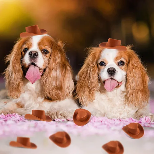 Miniatura 4 de 20 sombreros de plástico para mini vaquera occidental, sombreros de muñeca en miniatura, lindos sombreros de fiesta para decoración de casa