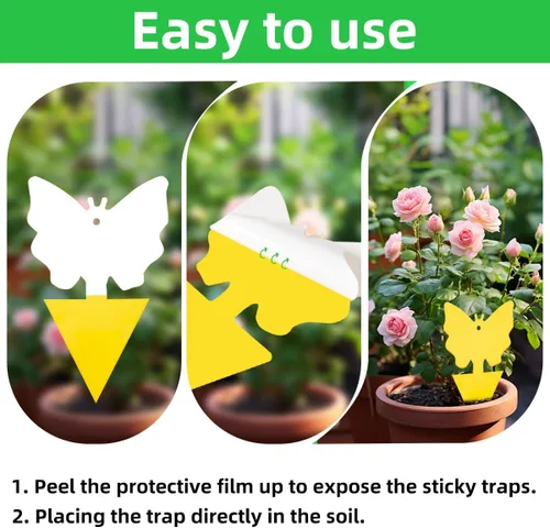 Miniatura 5 de 72 piezas de trampas adhesivas clásicas para mosquitos del hongo (plantas), insectos voladores, mosca blanca y mosca, trampas adhesivas