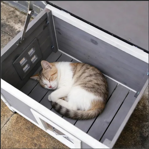 Miniatura 6 de Casa de madera maciza para gatos y perros, cabaña para mascotas al aire libre para conejos, gatitos y perros pequeños, cortina resistente al viento