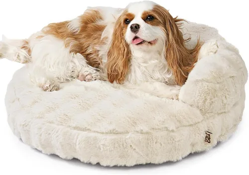Miniatura 20 de EHEYCIGA Sofá cama suave para gatos de interior, cama extra pequeña esponjosa para perros con funda extraíble lavable, sofá para mascotas, Camello
