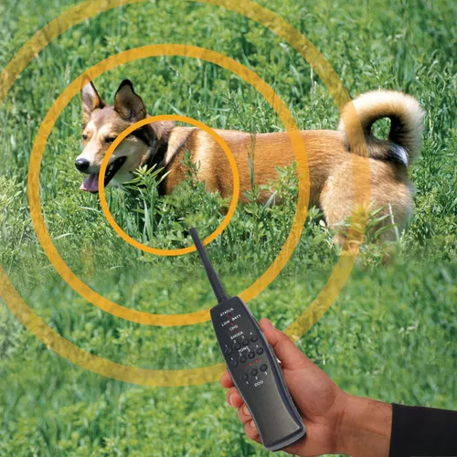 Miniatura 4 de High Tech Pet Sistema de adiestramiento para perros Express Train Remote Radio RT-1