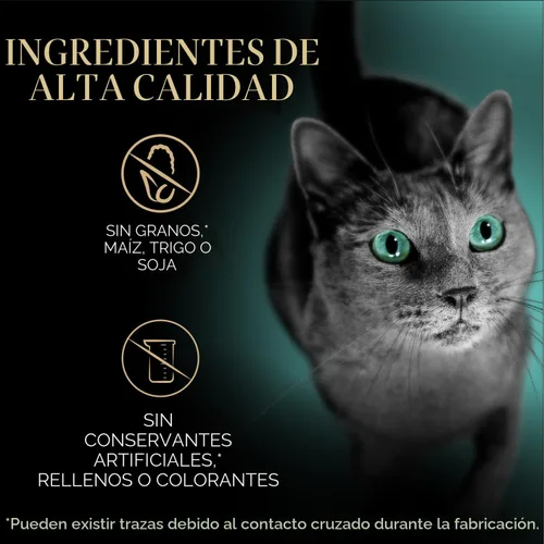 Miniatura 7 de Sheba Premium Puree Cat Treats sabor a pollo asado lamible, sabor a salmón ahumado y sabor a atún chamuscado, tubos de 0.49 onzas, 48