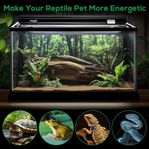 Miniatura 7 de T5 Kit Combinado de Lámpara para Reptiles de 24W Lámpara para Terrario de Reptiles con Capucha Bombilla de Luz UVB 10.0 Tubo Fluorescente Ideal