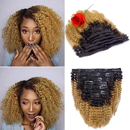 Loxxy Afro rizado extensiones de clip grueso 100 % virgen Remy cabello humano 4B 4C negro natural 7 piezas con 17 clips 4.23 onzas/120 g por juego