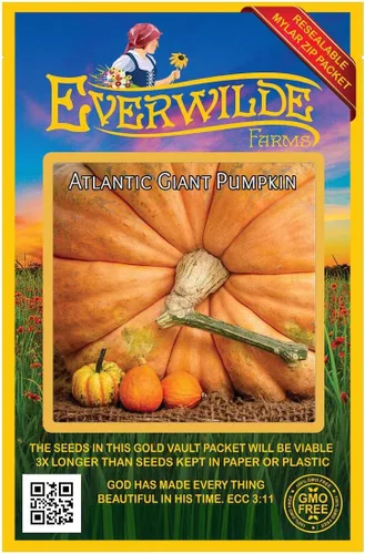 Everwilde Farms - 10 semillas de calabaza gigante del Atlántico - Paquete de semillas Gold Vault