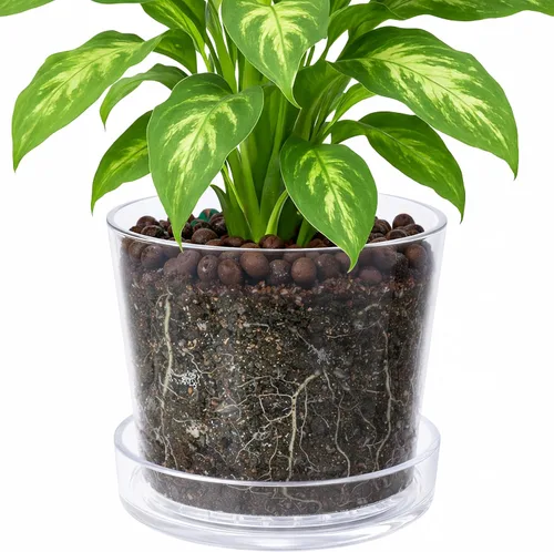 Miniatura 11 de Phoenix Vine Maceta de acrílico transparente de 3.5 pulgadas con bandeja, maceta de orquídeas con agujeros de drenaje, platillo profundo para riego