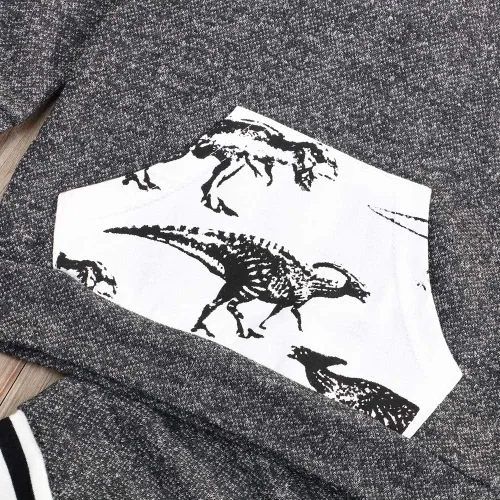 Miniatura 4 de Conjunto de sudadera con capucha para bebés y niños con diseño de dinosaurio de manga larga con capucha y pantalones