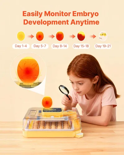 Miniatura 5 de VEVOR Incubadora de 48 huevos, incubadora automática con volteador de huevos y vela LED, pantalla de temperatura y control automático de humedad