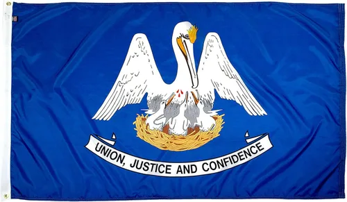 Miniatura 51 de FlagSource Bandera del estado de nailon de Iowa, fabricada en los Estados Unidos, 4 x 6 pies Iowa 4x6
