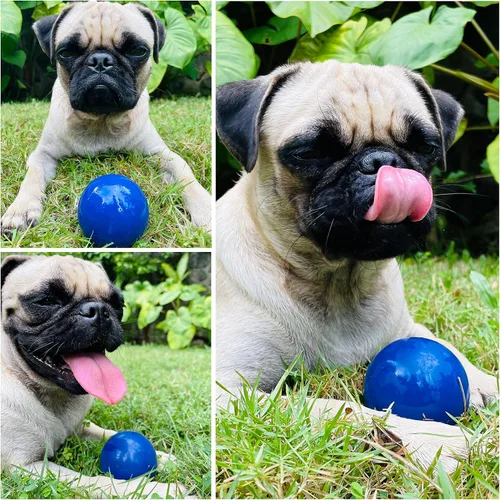 Miniatura 5 de SuperChewer - Pelota de juguete resistente para perros, reemplazo de por vida, goma natural fuerte, gran juguete para buscar perros, juguetes