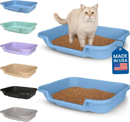 Miniatura 40 de KittyGoHere - Caja de arena para gatos mayores, sartén pequeña con cuchara jumbo de mango largo, caja de arena para gatos de entrada baja, ligera