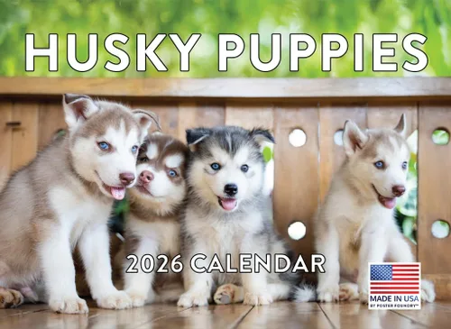 Miniatura 31 de Calendario de pared mensual 2025 Great Dane de 12 meses, fabricado en Estados Unidos