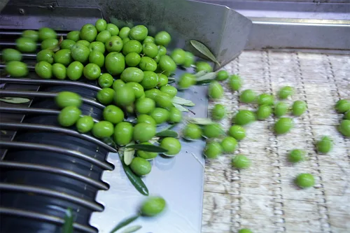 Miniatura 3 de Cat Cora's Kitchen - Aceitunas verdes sin hueso, orégano y limón, 2.3 onzas (paquete de 8)