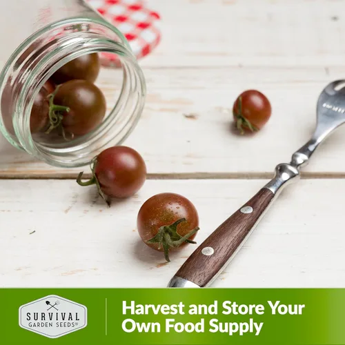 Miniatura 5 de Semillas de tomate cereza negra para plantar – Variedad indeterminada de reliquia sin OMG – Cultiva altos rendimientos de tamaño de morada profunda