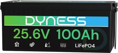 Dyness Batería LiFePO4 de 24 V 100 Ah, batería de litio de 25.6 V con potencia de 2560 Wh, BMS integrado de 100 A con protección a baja temperatura,