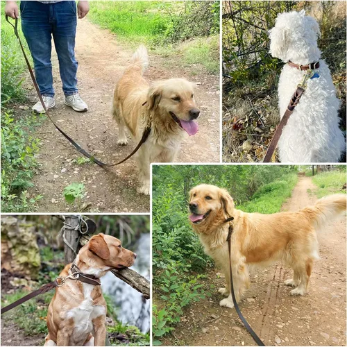 Miniatura 6 de Correa de cuero para perro de 6 x 1 pulgada, correa trenzada de cuero genuino fuerte y resistente, suave y cómoda para perros grandes, perros Marrón