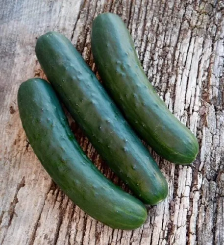 Miniatura 10 de Semillas de huerto para plantar - Cultivar verduras tradicionales (tomate bistec)