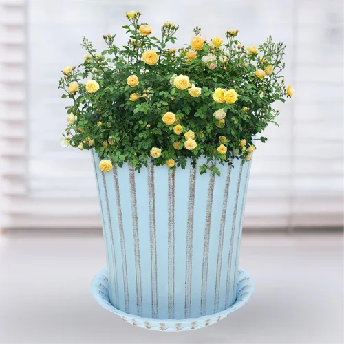Miniatura 8 de Happyyami 2 juegos de macetas de orquídeas macetas decorativas para bonsái, maceta de interior con macetas de drenaje para plantas, macetas