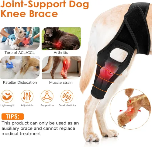 Miniatura 2 de Jorme Rodillera para perro para pierna trasera desgarrada del ligamento cruzado anterior, de neopreno transpirable con velcro ajustable y banda