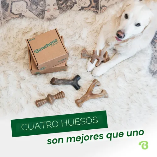 Miniatura 5 de Benebone - Paquete de 4 juguetes para masticar pequeños para perros agresivos, fabricados en Estados Unidos, para perros de 13.6 kg y menos
