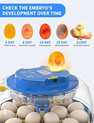Miniatura 8 de Incubadora panorámica de huevos de 18 huevos de 360° con giro automático de huevos y control de humedad, perfecta para incubar pollos, patos