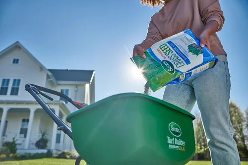 Miniatura 12 de Scotts – Mezcla de semillas de césped Turf Builder Sun & Shade con fertilizante y mejorador de suelo, prospera en diversas condiciones, 16 libras