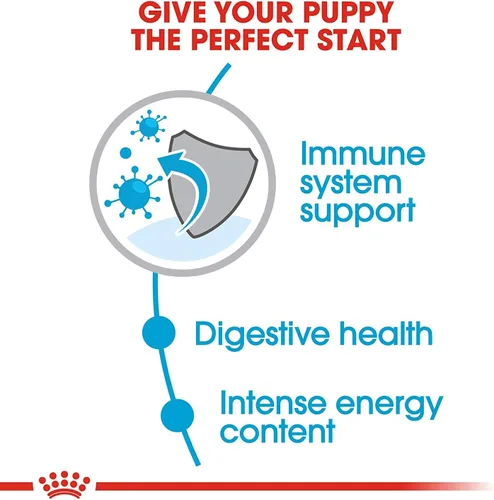 Miniatura 3 de Royal canin Tamaño Salud Nutrición Mini cachorro seco – Comida para Perro