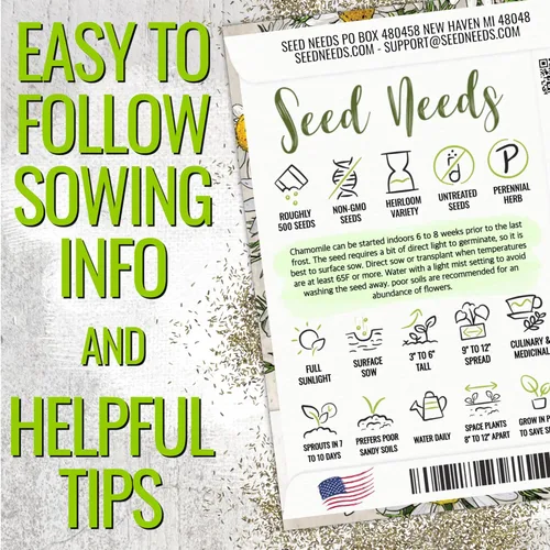 Miniatura 4 de Seed Needs Semillas de manzanilla para plantar manzanilla alemana y romana, semillas de hierbas sin OMG y sin tratar para plantar un jardín