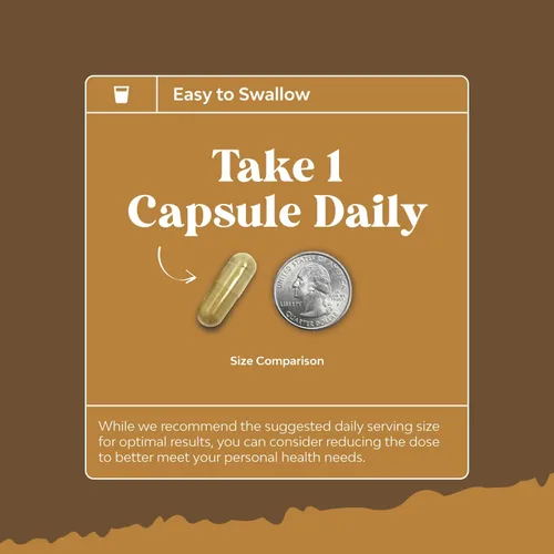 Miniatura 7 de Suplemento avanzado de hongo melena de león – Cápsulas de suplemento de melena de león con Reishi Chaga Maitake y Shiitake para la salud cerebral