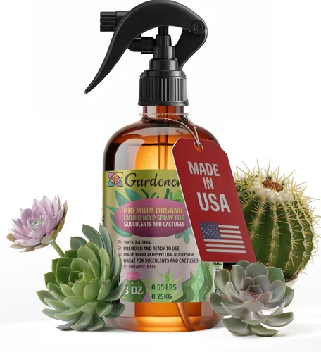 Miniatura 23 de GARDENERA Spray orgánico profesional de algas marinas para plantas AGLAONEMA – 8 oz – Rocío fertilizante de algas marinas y algas marinas totalmente