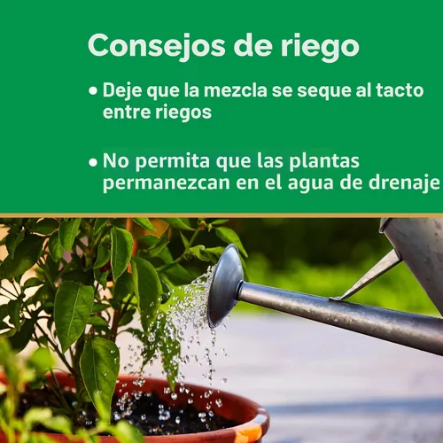 Miniatura 8 de Miracle-Gro - Mezcla para plantar en maceta
