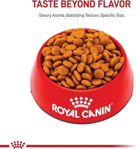 Miniatura 8 de Royal Canin Size Health Nutrition - Alimento seco para perros adultos medianos, bolsa de 4 libras