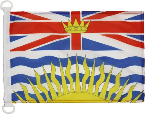 Miniatura 24 de Bandera náutica del Capitán Morgan Pirata 18'' x 12'' – Calavera Piratas banderas 11.8 x 17.7 in – Banner 12x18 in para barco – AZ FLAG