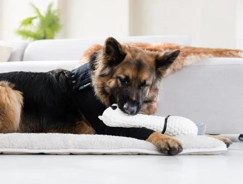 Miniatura 2 de Suitical Manga de Recuperación para Perro, Mediano, Negro Manga única negra