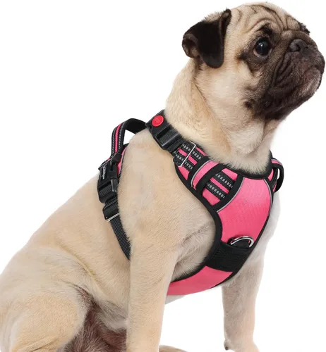 Miniatura 58 de rabbitgoo Arnés para perro de tamaño pequeño, chaleco para perro sin tirones con 3 hebillas, arnés ajustable y acolchado suave para mascotas con asa