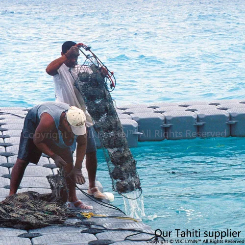 Miniatura 6 de Pendientes de perlas de Tahití para mujer Oro blanco de 18 quilates 0.354-0.394 in Redondo - VIKI LYNN, Oro blanco Perla, Perla