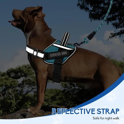 Miniatura 5 de Chaleco de arnés para perro de servicio y juego de correa, arnés de entrenamiento para perro Animire con 10 parches para perros, correa reflectante