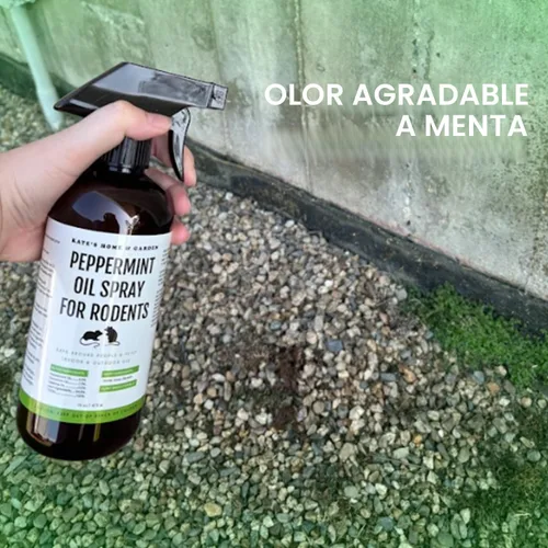 Miniatura 5 de Kate Naturals Spray de aceite de menta para roedores, ratones, murciélagos, ratas, motores de automóviles, ratones