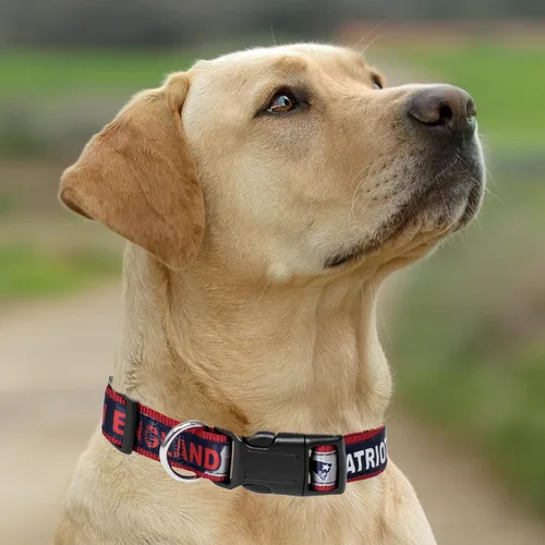 Miniatura 6 de Pets First Collar para perro de la NFL 32 equipos NFL disponibles en 4 tamaños. Collar de PET NFL resistente, fuerte y duradero. Equipo de fútbol