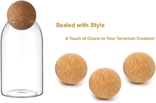 Miniatura 3 de Terrarios de vidrio con tapa de madera hermética (corcho de bola) Macetas de terrario cerradas Recipientes para botellas de vidrio transparente
