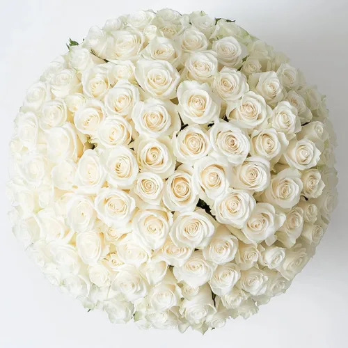 Miniatura 19 de GlobalRose Ramo de 50 rosas surtidas, rosas de origen responsable, flores frescas, ramo fresco de flores seleccionadas a mano para el día
