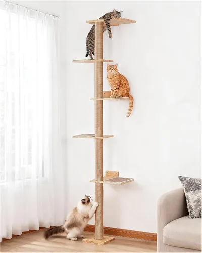Aechonow Árbol para Gatos de Pared de 80 Pulgadas de Alto, Cama Percha Superior de 15.8 Pulgadas para Gatos Adultos Grandes, Torre Ajustable para